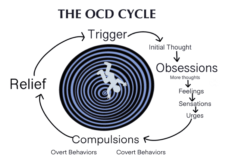 The OCD Cycle